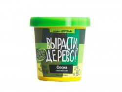 Набор для выращивания ВЫРАСТИ ДЕРЕВО! zk-051 Сосна гималайская