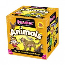 Сундучок знаний 