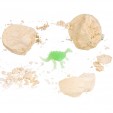 Французские опыты Науки с Буки Bondibon, Динозавры, арт.ST027224
